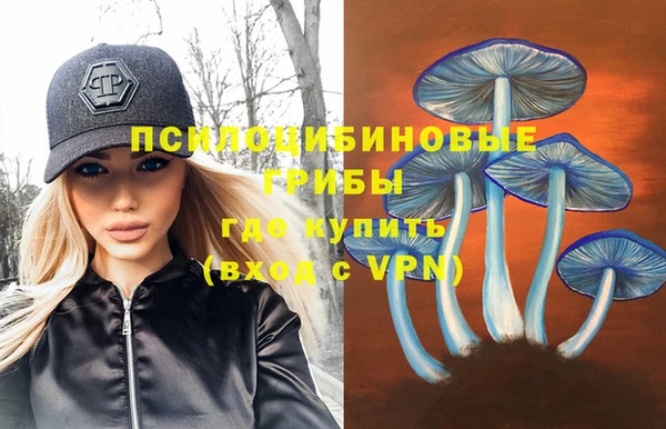 ALPHA PVP Алексеевка